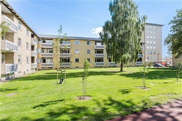 80 m2 lejlighed på Falkevej