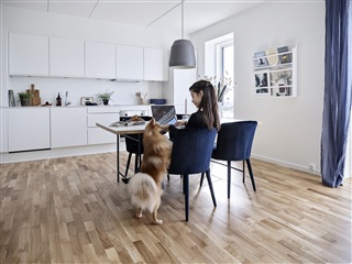 2-værelses stuelejlighed med to terrasser