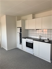 Pæn renoveret lejlighed
