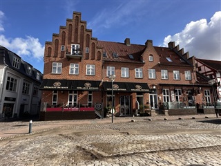 Hyggelig lejlighed med udgang til tagterrasse