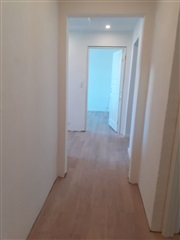 Nyindrettet 3 vær lejlighed