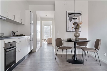50 m2 lejlighed. Husdyr er tilladt