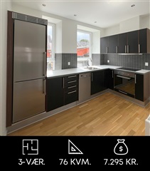 76 m2 lejlighed i Aalborg