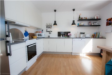 Delevenlig hus/villa søger lejer