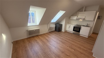 1 værelser for 4.495 kr. pr. måned