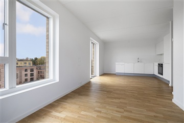 Delevenlig lejlighed søger lejer