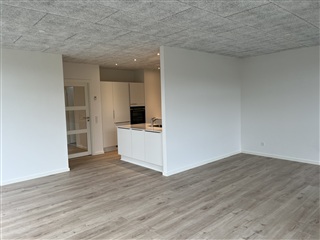 Velkommen til røllikevej – nybygget, enerGivenl...