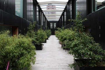 Lejlighed på Franciska Clausens Pl. i København...