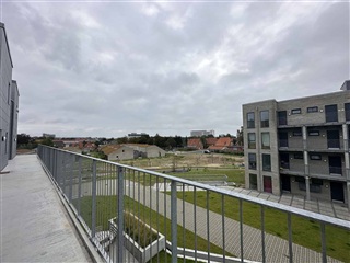 Parkhusene