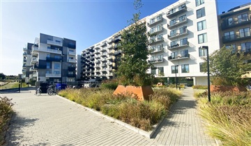 43 m2 lejlighed. Husdyr er tilladt