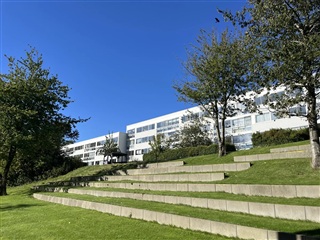 1 værelse på 50 m2