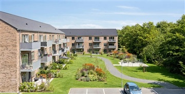 idyl i Tjørring, seniorer og singler