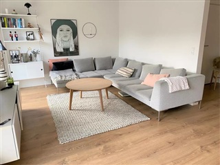 Delevenlig hus/villa søger lejer