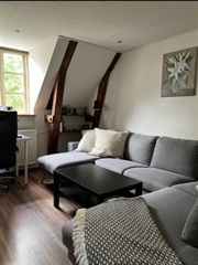 Charmende og lys lejlighed i hjertet af Horsens