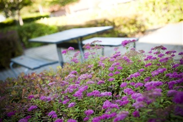 1 værelser for 4.245 kr. pr. måned