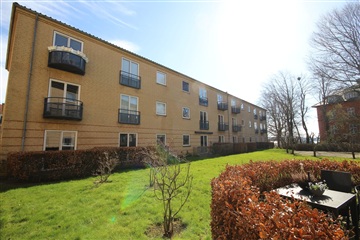 Stor 3 værelses lejlighed