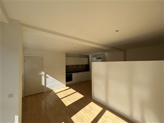 Central og velindrettet 1-værelses lejlighed – ...