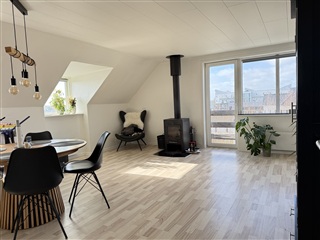 Flot taglejllighed med masser af plads ved va...