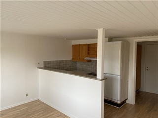 Hyggelig 3 værelses i Møldrup