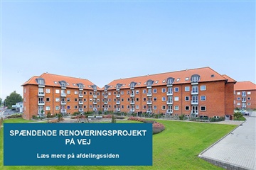 70 m2 lejlighed. Husdyr er tilladt