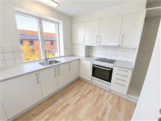 55 m2 lejlighed. Husdyr er tilladt