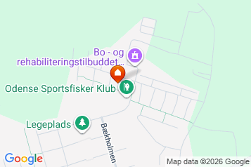 Hus/villa på Amaliehaven i Odense NØ