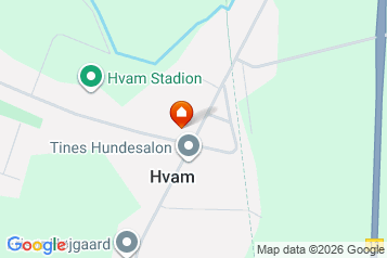 Delevenlig lejlighed søger lejer