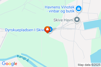 Lejlighed på Havnevej i Skive