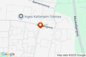 60 m2 lejlighed på Landbrugsvej