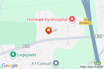 Hus/villa til 8.550 kr.