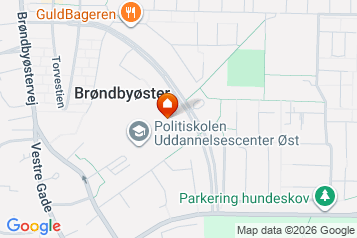 1 værelse på 25 m2