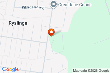 69 m2 hus/villa i Ryslinge